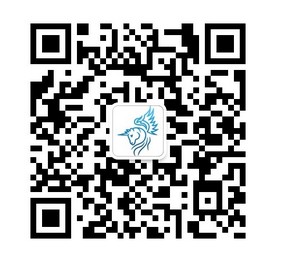 静思生活的微信二维码