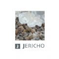 jerich微信号