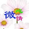 微心情微信号